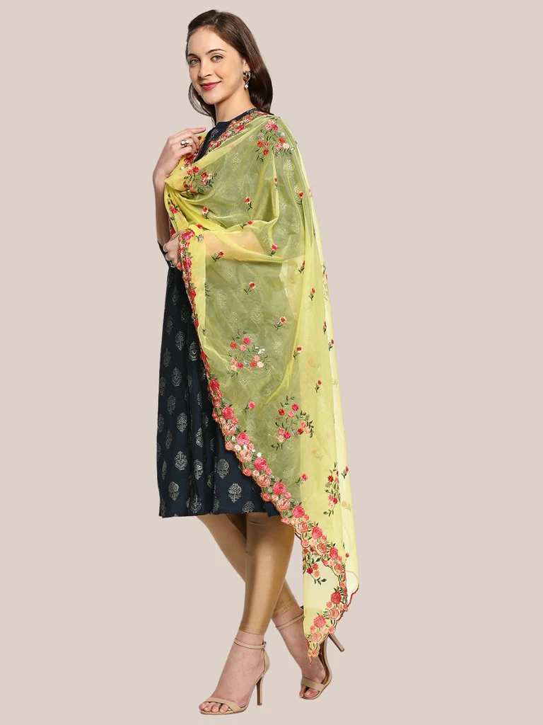 Organza Dupatta with Multicolor Floral Embroidery - Image 6